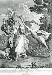 The Feathered Friend in a Fright